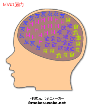 NOVの脳内イメージ
