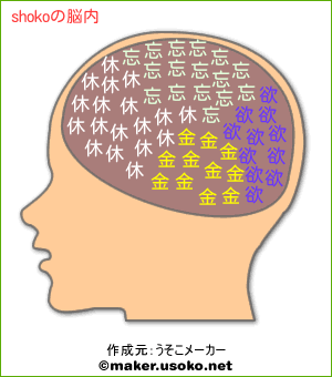 shokoの脳内イメージ