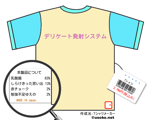 ひめゆTシャツ