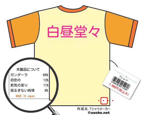 遙かなる時空の中で2Tシャツ