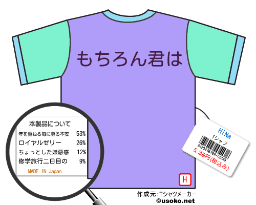 HiNaTシャツ