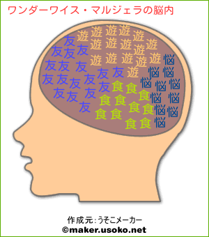 ワンダーワイス マルジェラの脳内イメージ 脳内メーカー