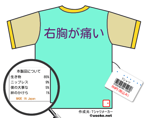 ¼ͳのＴシャツメーカー結果