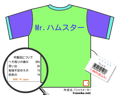 ä̦��ϺのＴシャツメーカー結果