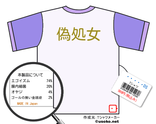 �˼߹�ĹDSのＴシャツメーカー結果