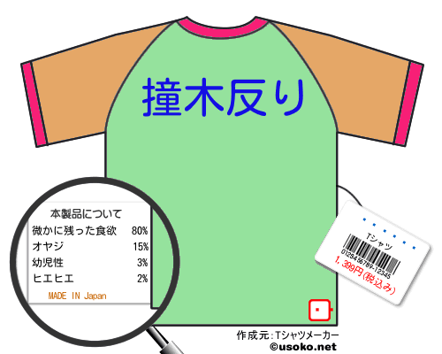 ������のＴシャツメーカー結果