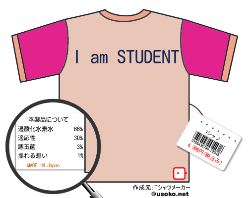 ����ޫ��のＴシャツメーカー結果