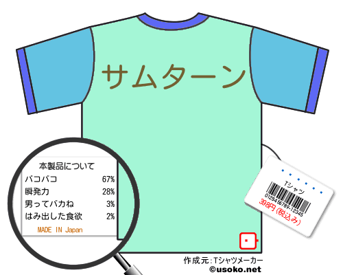 ��¼ʹ��のＴシャツメーカー結果
