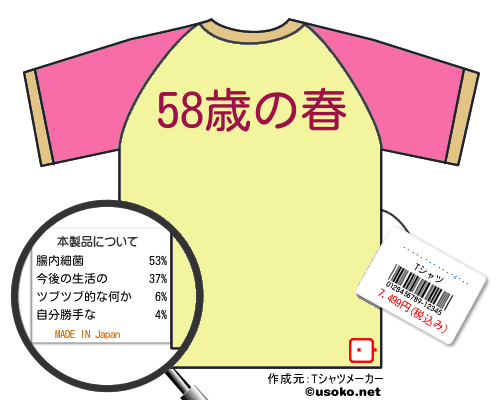 �����̼�Ĥ��ͤ����のＴシャツメーカー結果