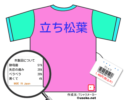 ��¼��ǵのＴシャツメーカー結果