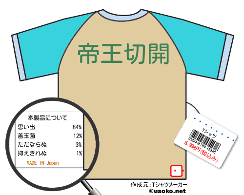��������のＴシャツメーカー結果