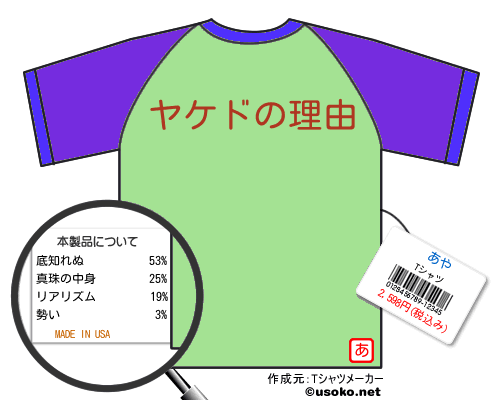 あやのＴシャツメーカー結果