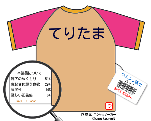 ウエンツ瑛士のＴシャツメーカー結果