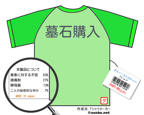 タミー ストロナッハtシャツ