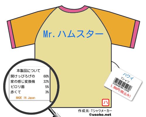 ハワイのＴシャツメーカー結果