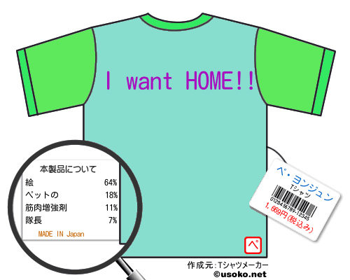 ペ・ヨンジュンのＴシャツメーカー結果
