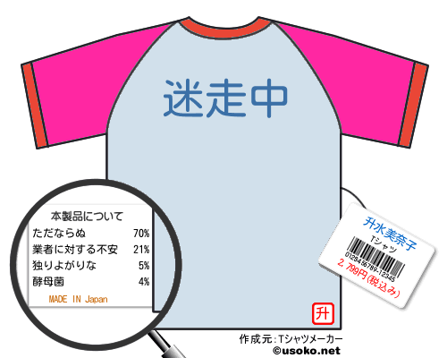 升水美奈子のＴシャツメーカー結果