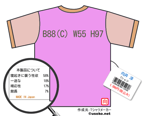向井 淳のＴシャツメーカー結果