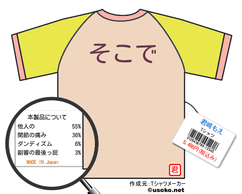 君嶋もえのＴシャツメーカー結果