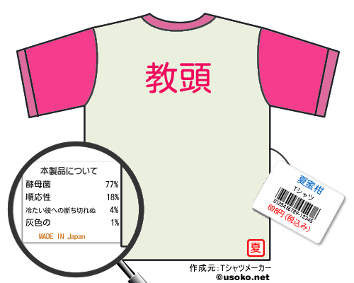 夏蜜柑のＴシャツメーカー結果