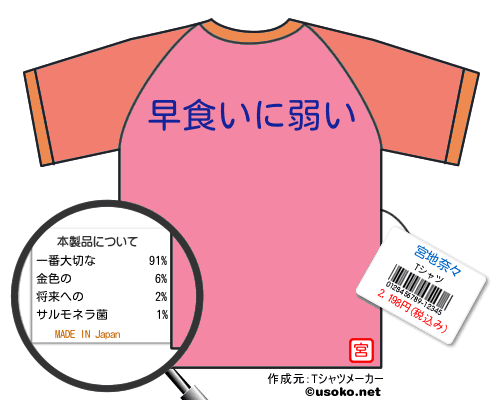 宮地奈々のＴシャツメーカー結果