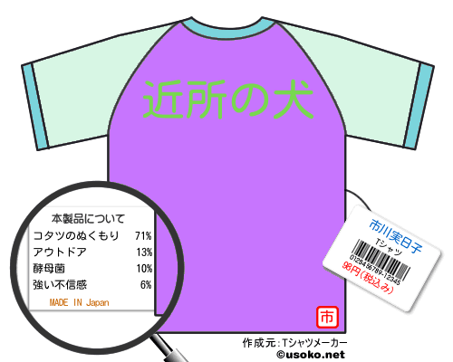 市川実日子のＴシャツメーカー結果