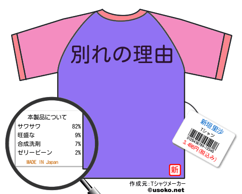 新垣里沙のＴシャツメーカー結果