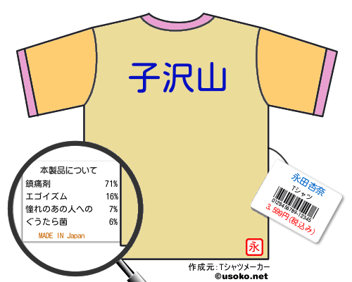 永田杏奈のＴシャツメーカー結果