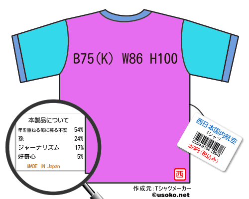 西日本国内航空のＴシャツメーカー結果