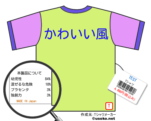 TESTのＴシャツメーカー結果