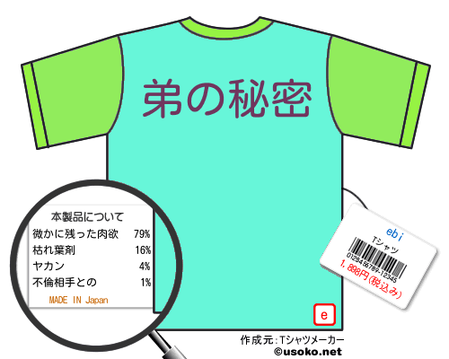 ebiのＴシャツメーカー結果